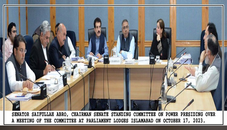 Senate body appreciates Power Division for recovery of Rs. 25 bn