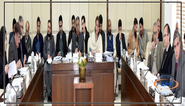 Senate Committee reviews delays in Power Sector and Provincial Development Projects