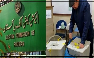 فردوس شمیم نقوی کے بیلٹ باکس کی سیل کھولنے والی ویڈیو وائرل، الیکشن کمیشن کا نوٹس