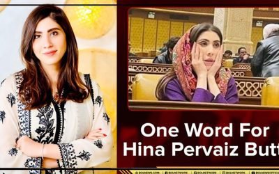 حنا پرویزبٹ بول نیوز پر پھٹ پڑیں