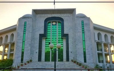 رکن قومی اسمبلی سہیل سلطان کی نااہلی، الیکشن کمیشن کو کارروائی سے روک دیا گیا