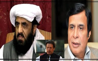 پنجاب حکومت کی فرانزک رپورٹ سے عمران کا ایک اور جھوٹ پکڑا گیا ،حمد اللہ