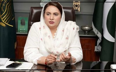 عمران خان کے بغض میں ملک اور عوام سے بدلہ لیا جا رہا ہے، مسرت چیمہ