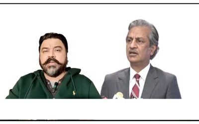 عادل راجہ کی صحافی ابصار عالم سے معذرت