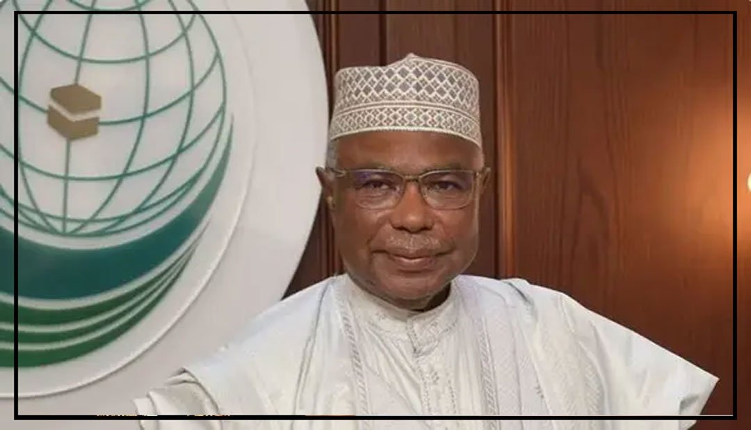 فلسطینیوں کے خلاف اسرائیلی کارروائیاں انسانیت کے خلاف جرم ہیں، او آئی سی