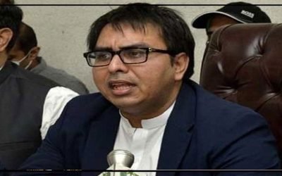 مجھے مڈل کلاس سے ہونے کی سزا دی جا رہی ہے، ، شہباز گل