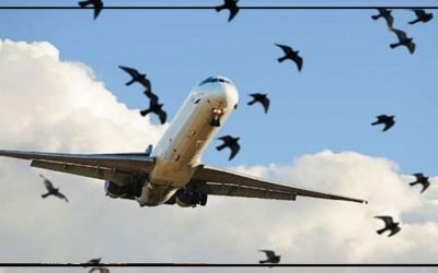 بھارتی ایئرلائن کے طیارے کی کراچی ایئرپورٹ پر ہنگامی لینڈنگ