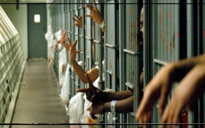 راولپنڈی: چینی کال سینٹر میں چوری کی وارت کرنے  والا 6 رکنی گینگ گرفتار