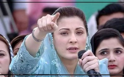 مریم نواز 2 کروڑ 89 لاکھ روپے سے زائد کی مقروض،  اثاثوں کی تفصیلات سامنے آ گئیں
