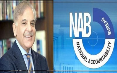 آشیانہ اقبال ریفرنس؛ نیب کے وعدہ معاف گواہ عارف مجید نے شہبازشریف کو کلیئر قرار دے دیا