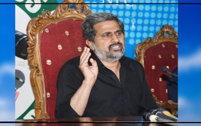 عمران خان نے پی ٹی آئی کو خاکسار تحریک بنا دیا ہے،فیاض الحسن چوہان