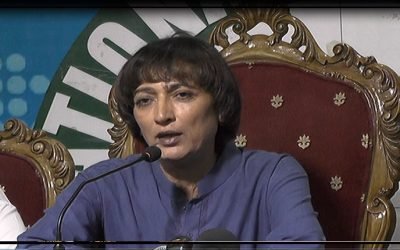 وفاقی شرعی عدالت کا فیصلہ خواجہ سراؤں کی فتح ہے، ندیم کشش