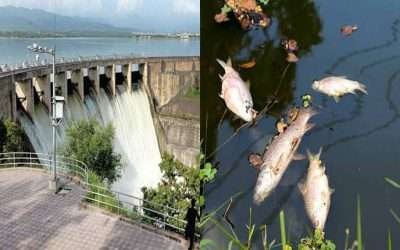 قائمہ کمیٹی موسمیاتی تبدیلی نے راول ڈیم میں زہر ملانے کے واقعے رپورٹ طلب کر لی