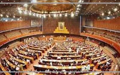 آئندہ مالی سال کا وفاقی بجٹ قومی اسمبلی نےکثرت رائے سے منظور کر لیا