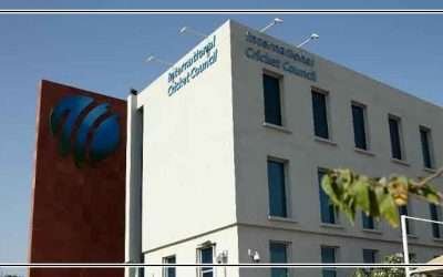 آئی سی سی نے لیگز سے متعلق اہم قوانین منظورکر لیے