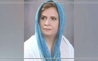 پی ٹی آئی کی سابق رکن اسمبلی نیلم حیات کا سیاست چھوڑنے کا اعلان