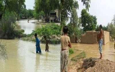 دریائے ستلج ،پانی کی سطح میں اضافہ حفاظتی بند ٹوٹنے سے فصلیں تباہ،کئی دیہات متاثر