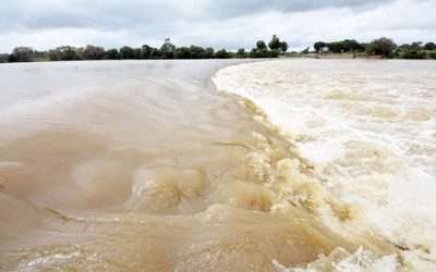 دریائے ستلج میں پانی کی سطح بلند، متعدد دیہات زبرآب آگئے