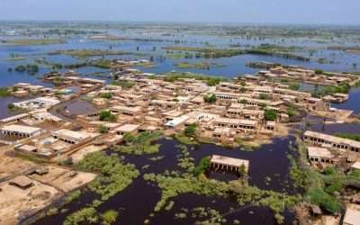 دریائے ستلج کے سیلابی ریلے سے تباہی جاری ،کھڑی فصلیں تباہ