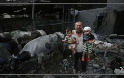 غزہ کی 24 روزہ جنگ میں بچوں کی ہلاکتیں گذشتہ چار سال کی عالمی ہلاکتوں سےزیادہ ہونے کاانکشاف