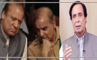 شہباز شریف اور نواز کس منہ سے عوام سے ووٹ لیں گے،پرویز الٰہی