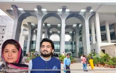 تھری ایم پی او کا حکم جاری کرنے کا اختیار وفاقی کابینہ کے پاس ہونا چاہیے ،اسلام آباد ہائیکورٹ