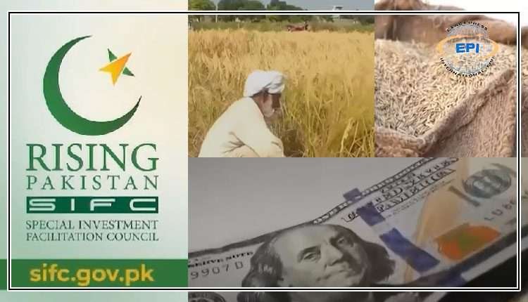 چاول کی برآمدات میں 4 ارب ڈالر کا ریکارڈ اضافہ