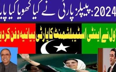 دو ہزارچوبیس پاکستان پیپلز پارٹی کیلیے کیسا رہا