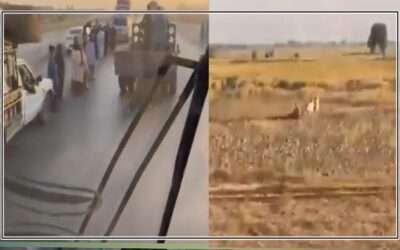 کشمور،انڈس ہائی وے پر ڈاکو راج،کانوائے لگا کر لوٹ مار،نوجوان اغوا