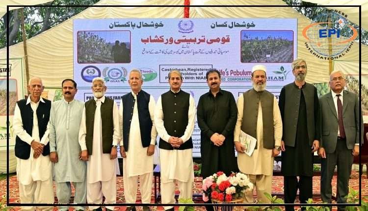 موسمیاتی سمارٹ ایگریکلچر: نیاب میں کیسٹر بین کے فروغ کے لیے قومی تربیت کا انعقاد