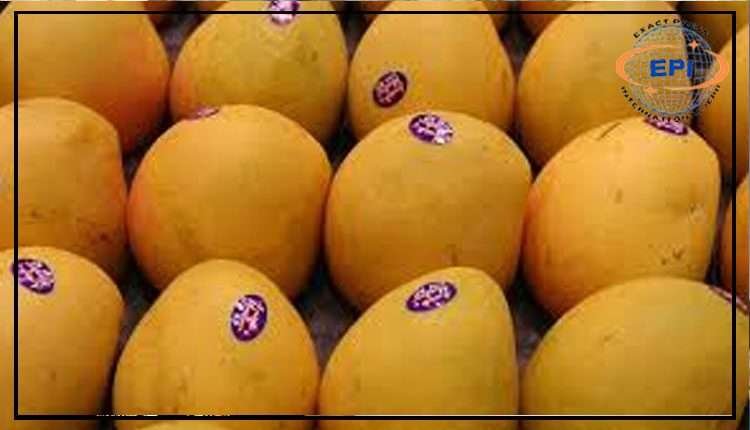 آم درآمد کرنے کی اجازت دیدی گئی