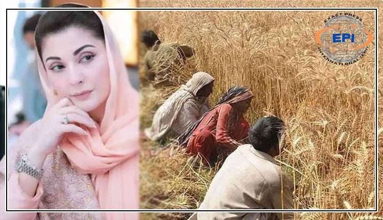 جیو نیوز ہیڈلائنز میں شامل 5 اہم خبریں