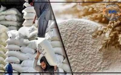 گندم کی نقل وحمل پر پابندی، سندھ میں آٹے کے بحران کا خدشہ