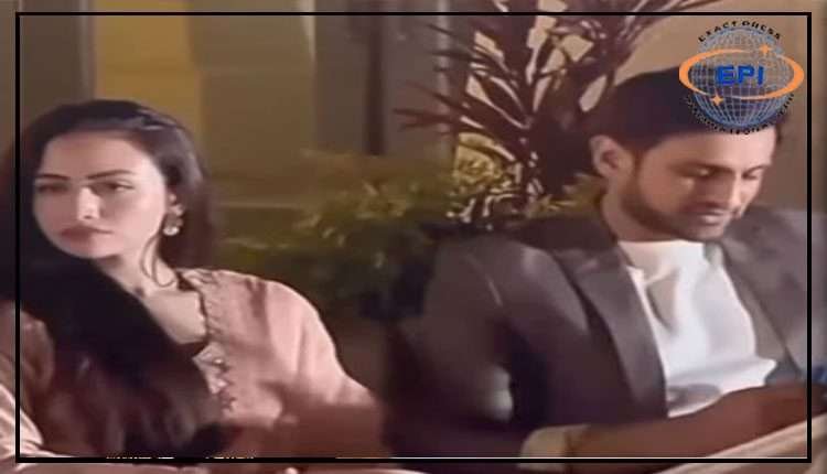 شعیب ملک اور ثنا جاوید کے درمیان علیحدگی کی افواہیں زور پکڑ گئیں