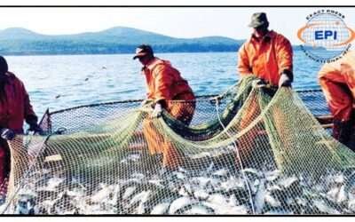 بلوچستان :سمندر میں غیرقانونی ماہی گیری کے خلاف کارروائیاں جاری