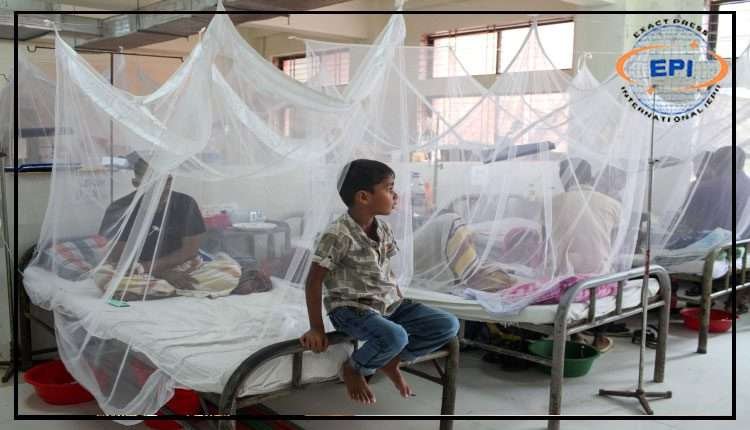 راولپنڈی؛ ڈینگی کیسز میں اضافہ، گزشتہ 24 گھنٹوں کے دوران 20 نئے مریض رپورٹ