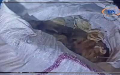 حیدرآباد: بڑے ریسٹورینٹس ہوٹلز پر مردہ برائلر چکن کے گوشت کی سپلائی کا انکشاف