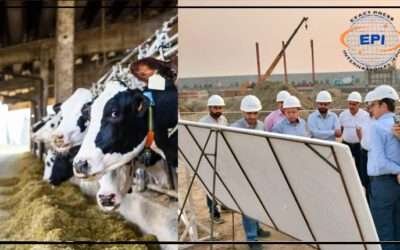 ڈیری سیکٹر میں اہم پیش رفت، 55 ملین ڈالر کی سرمایہ کاری سے جدید پلانٹ کے قیام کا اعلان